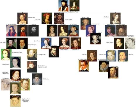 dinastia tudor albero genealogico|family tree of tudor.